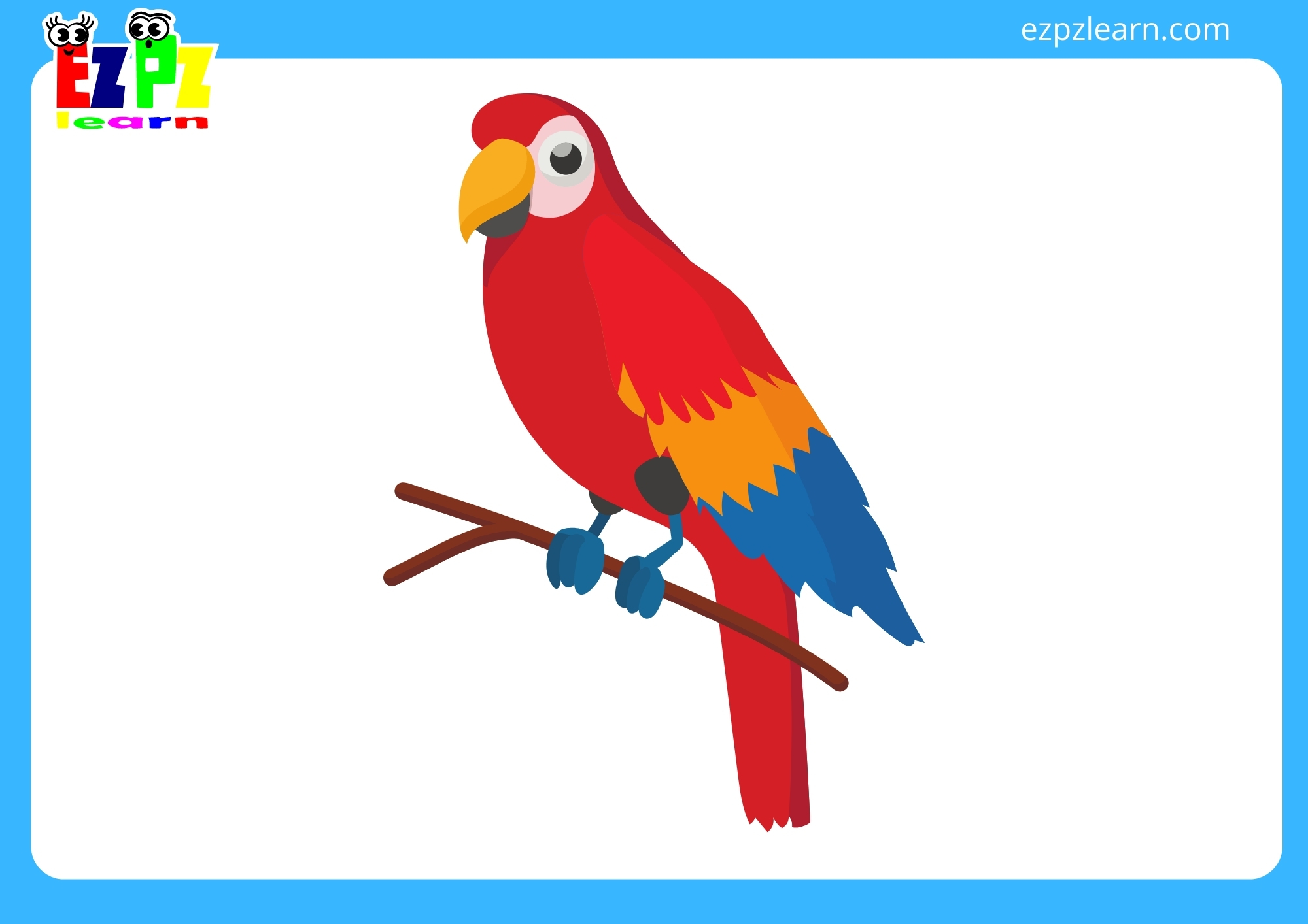 parrot